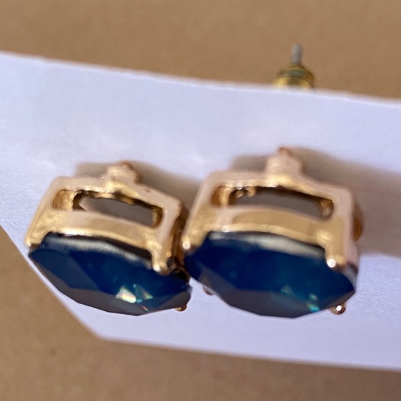 Blue Stud Earrings - Picture 2 of 2